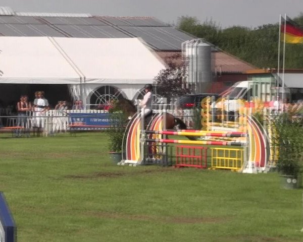 Reitturnier Holdorf 2015