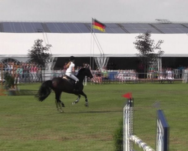 Reitturnier Holdorf 2015