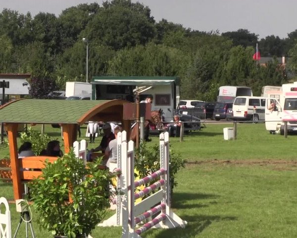 Reitturnier Holdorf 2015