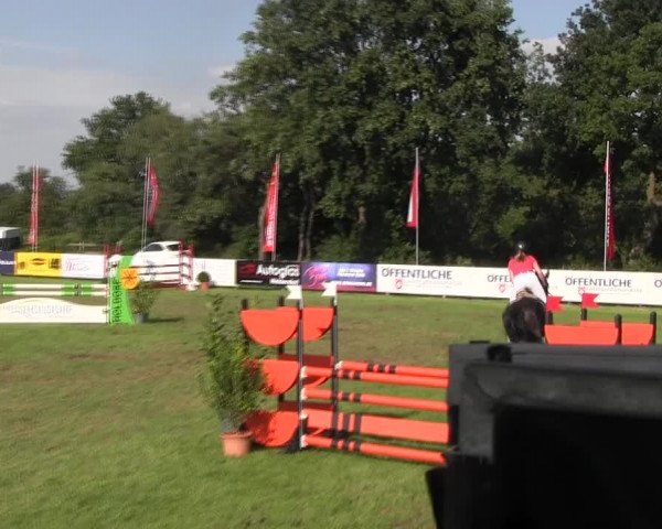 Reitturnier Holdorf 2015
