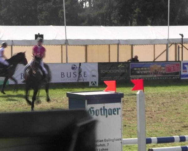 Reitturnier Holdorf 2015