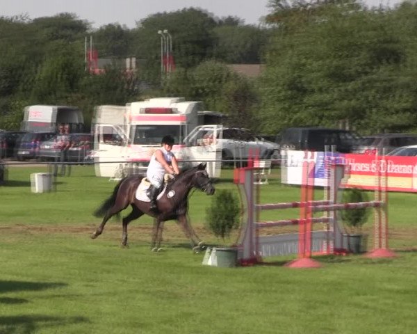 Reitturnier Holdorf 2015