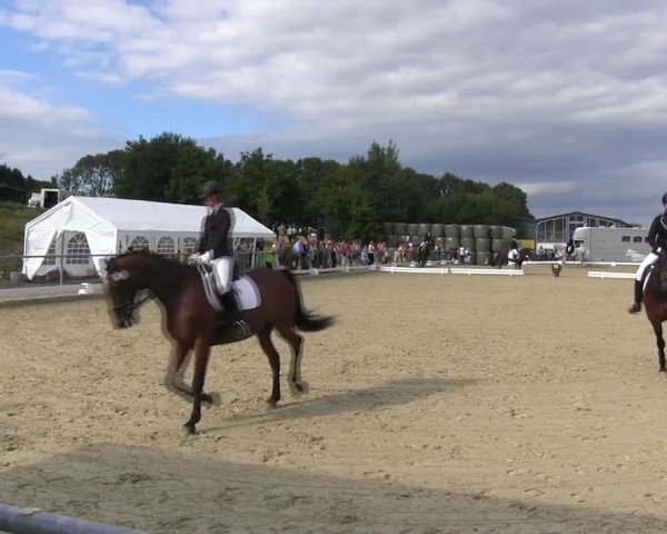 Reitturnier Bühren-Breckerfeld 2015