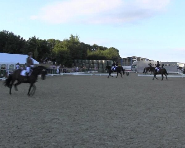 Reitturnier Bühren-Breckerfeld 2015