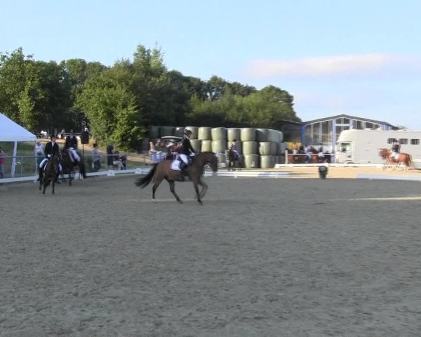 Reitturnier Bühren-Breckerfeld 2015