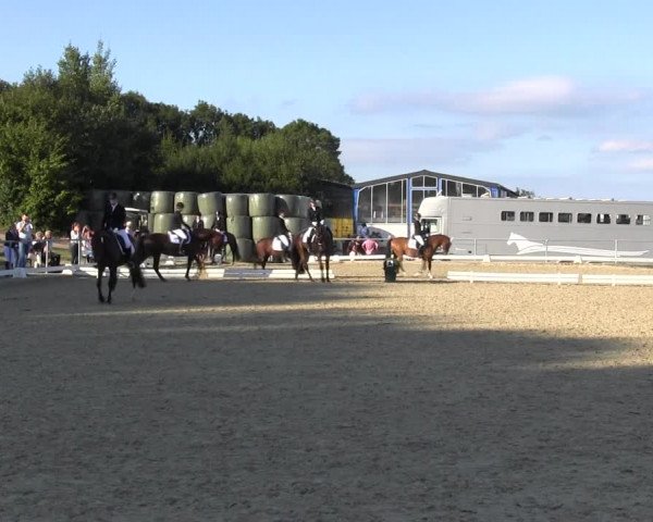 Reitturnier Bühren-Breckerfeld 2015