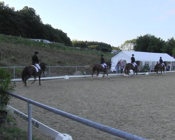 Reitturnier Bühren-Breckerfeld 2015