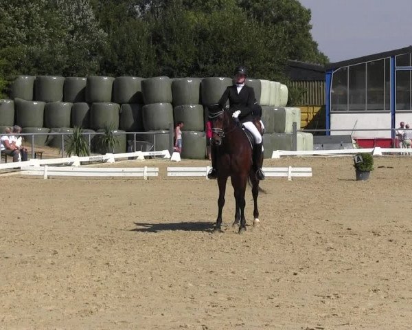 Reitturnier Bühren-Breckerfeld 2015