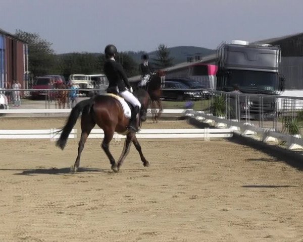 Reitturnier Bühren-Breckerfeld 2015