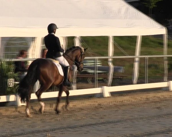 Reitturnier Bühren-Breckerfeld 2015