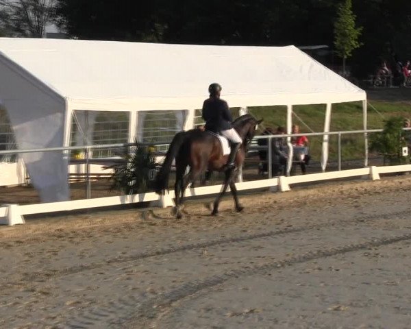 Reitturnier Bühren-Breckerfeld 2015