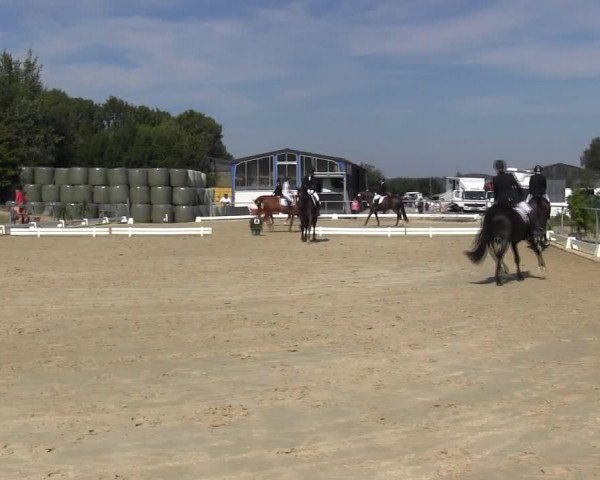 Reitturnier Bühren-Breckerfeld 2015