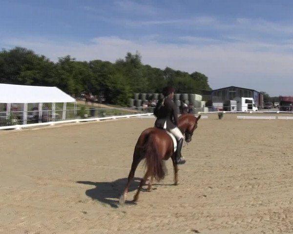 Reitturnier Bühren-Breckerfeld 2015