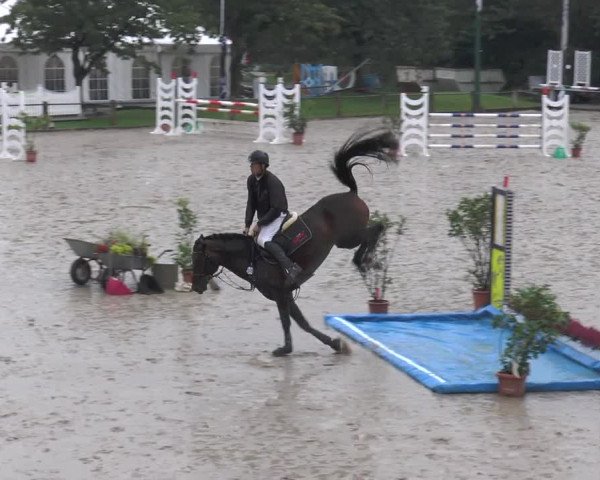 Bad Rothenfelder Reitertage 2015