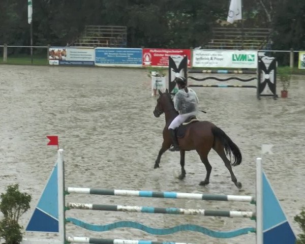 Bad Rothenfelder Reitertage 2015