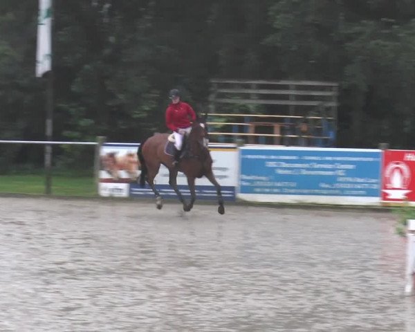 Bad Rothenfelder Reitertage 2015