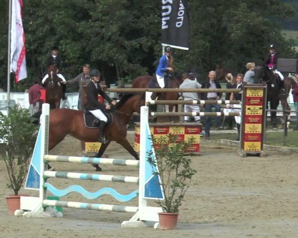 Bad Rothenfelder Reitertage 2015