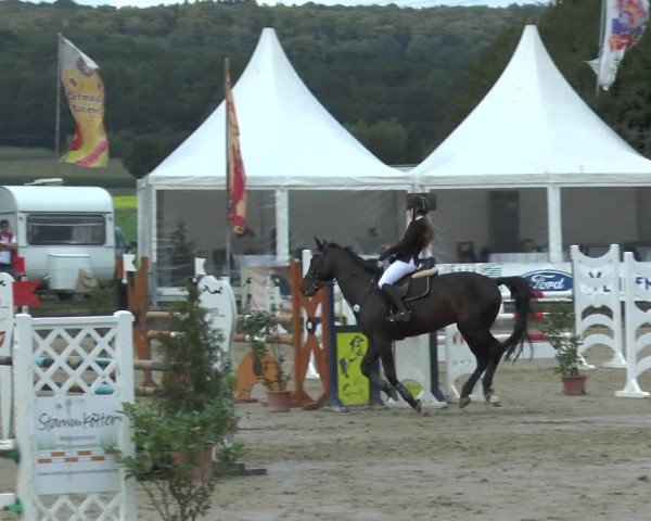 Bad Rothenfelder Reitertage 2015