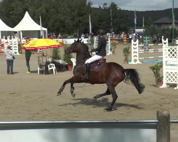 Bad Rothenfelder Reitertage 2015