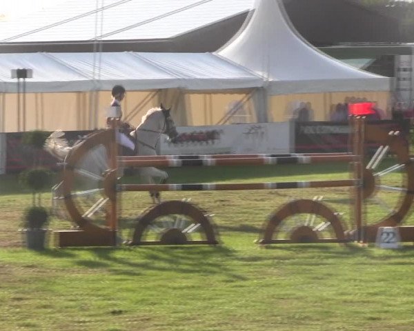 Reitturnier Holdorf 2015