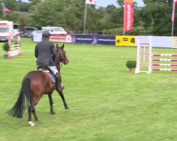 Reitturnier Holdorf 2015