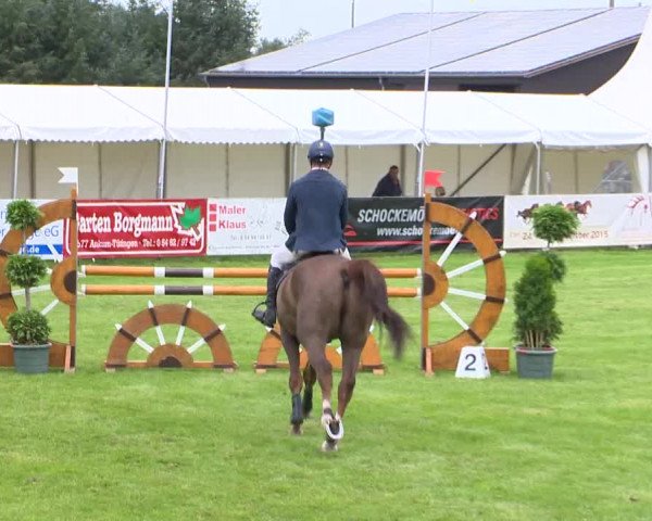 Reitturnier Holdorf 2015