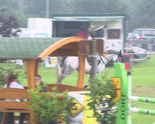 Reitturnier Holdorf 2015