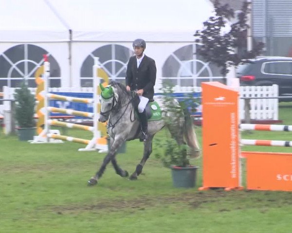 Reitturnier Holdorf 2015