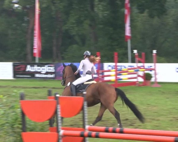Reitturnier Holdorf 2015