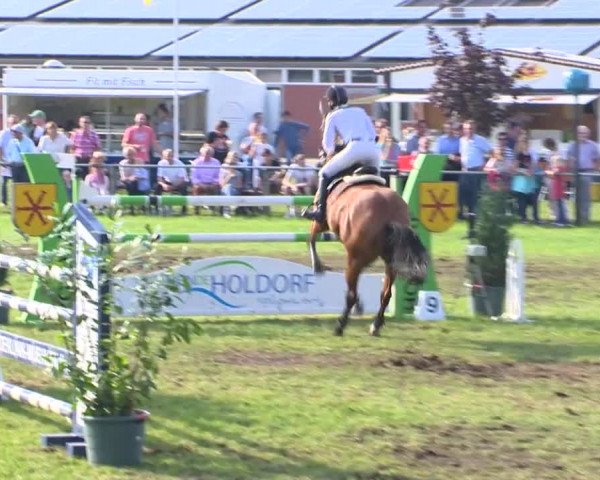 Reitturnier Holdorf 2015