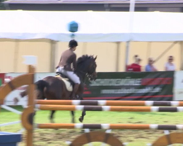 Reitturnier Holdorf 2015
