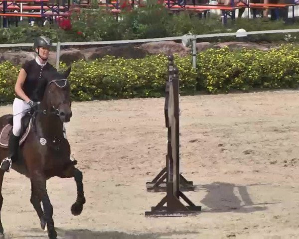 Reitturnier Waldachtal-Heiligenbronn 2015