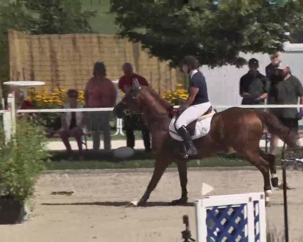 Reitturnier Waldachtal-Heiligenbronn 2015