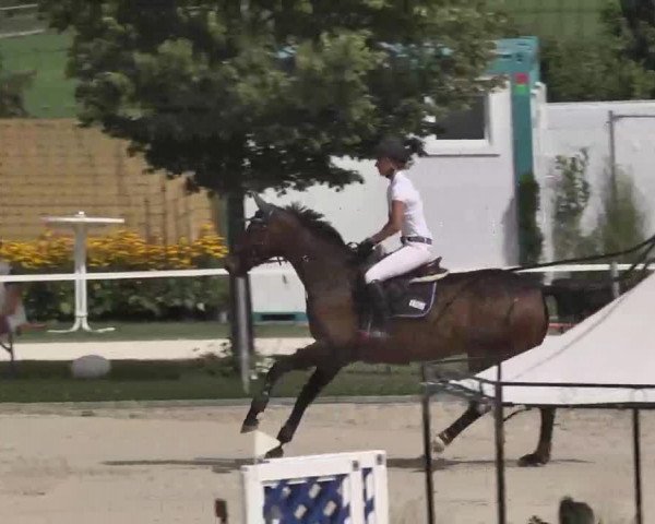 Reitturnier Waldachtal-Heiligenbronn 2015