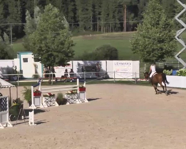 Reitturnier Waldachtal-Heiligenbronn 2015