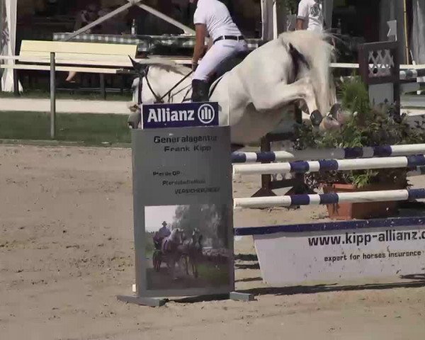 Reitturnier Waldachtal-Heiligenbronn 2015