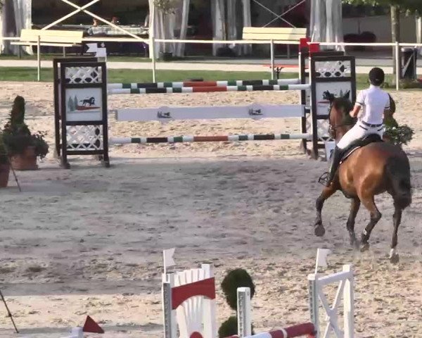 Reitturnier Waldachtal-Heiligenbronn 2015