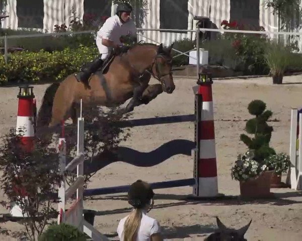 Reitturnier Waldachtal-Heiligenbronn 2015