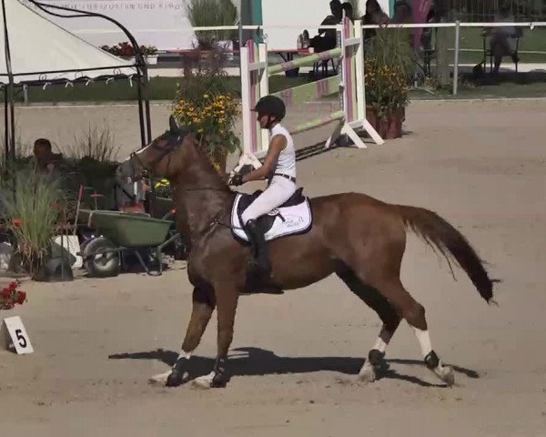 Reitturnier Waldachtal-Heiligenbronn 2015