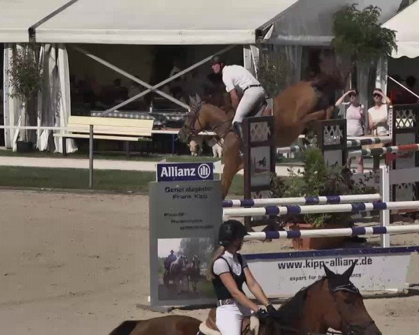 Reitturnier Waldachtal-Heiligenbronn 2015