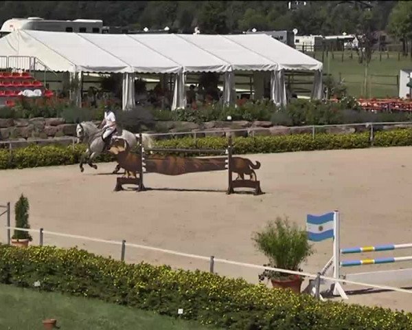 Reitturnier Waldachtal-Heiligenbronn 2015