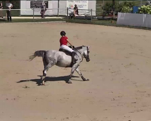 Reitturnier Waldachtal-Heiligenbronn 2015