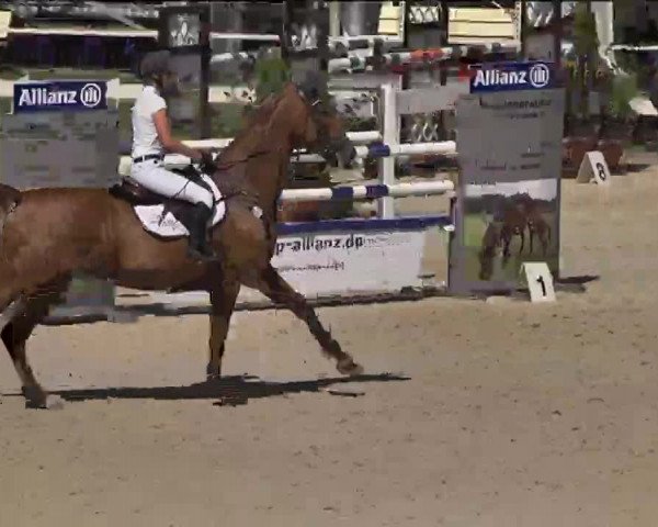 Reitturnier Waldachtal-Heiligenbronn 2015