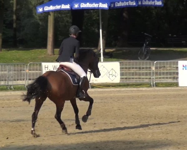 Wickrather Reitertage 2015