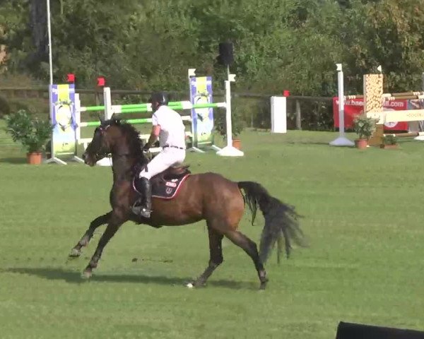 Reitturnier Leonberg 2015