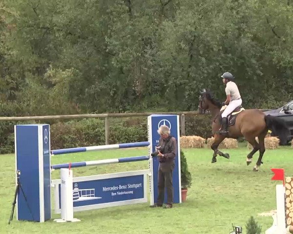 Reitturnier Leonberg 2015