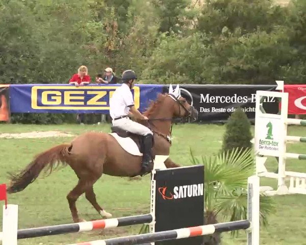 Reitturnier Leonberg 2015