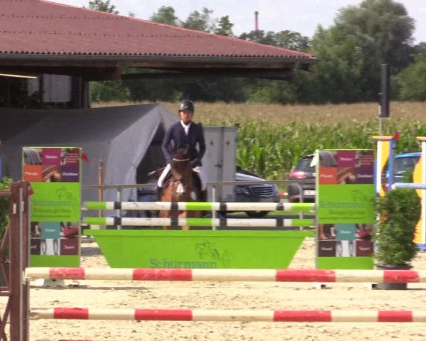 Reitturnier Appelhülsen 2015