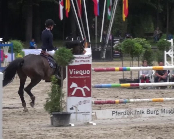 Wickrather Reitertage 2015