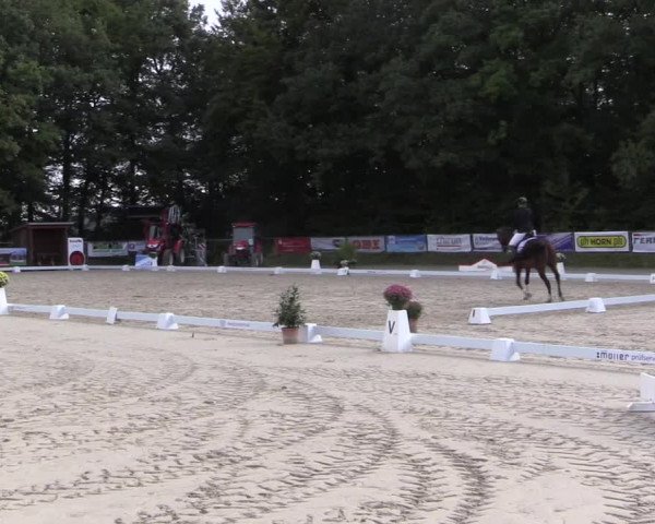 Dressurturnier Meinerzhagen 2015